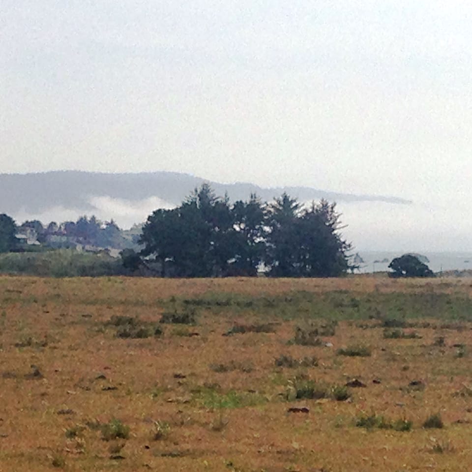 View from down the road of the coastline
