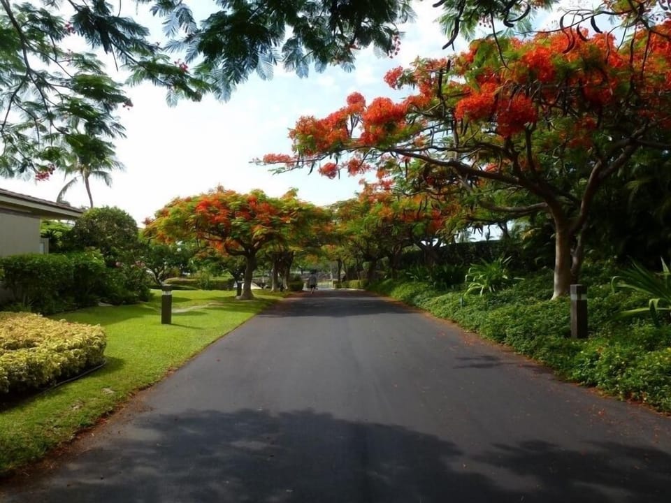 Vista Waikoloa drive entrance