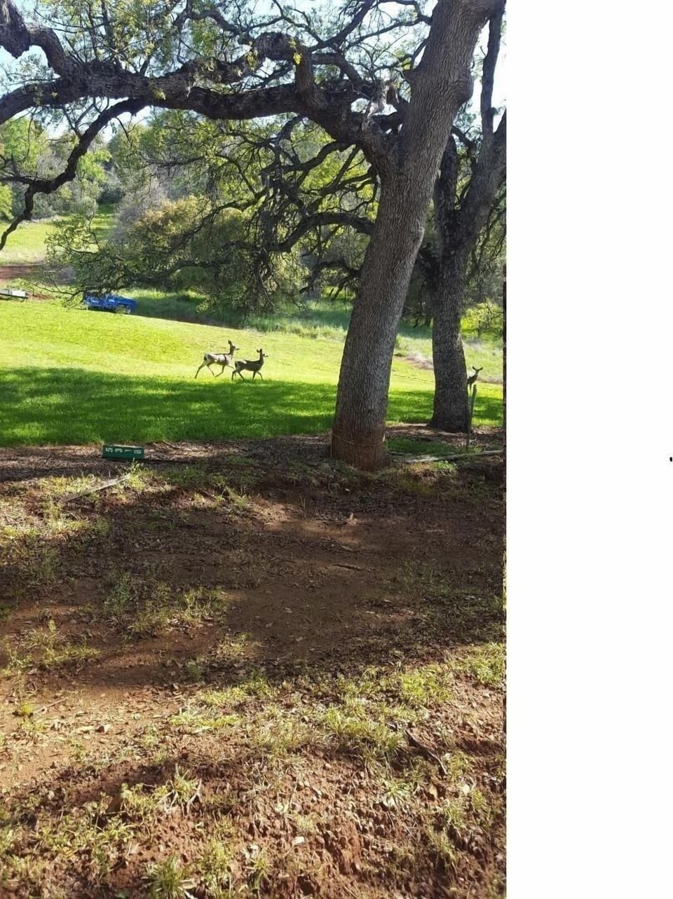 you can sit outside and watch the wild life