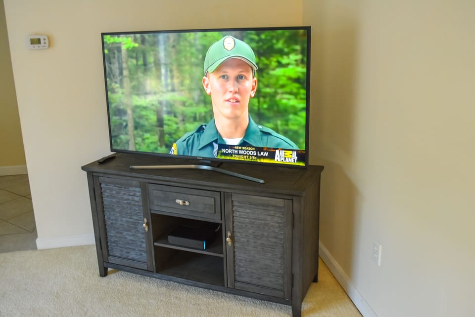 55" 2160p resolution Smart TV in Living Room and Blue Ray DVD Player.
