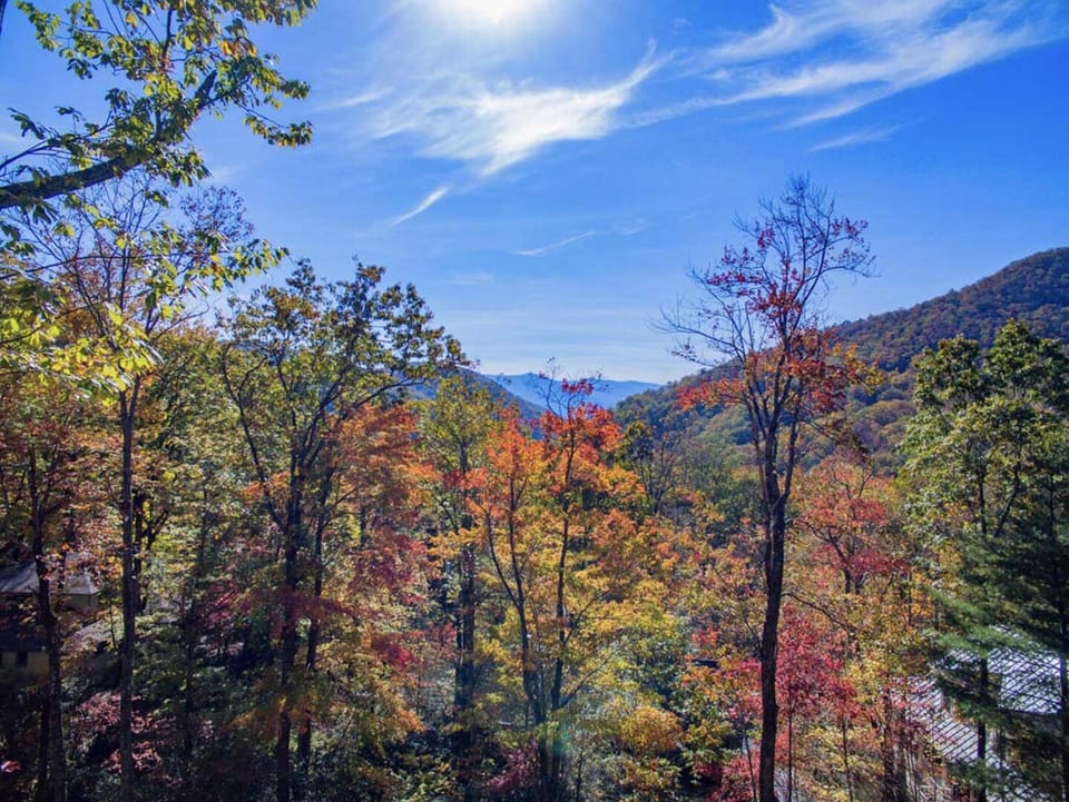 Fall Views