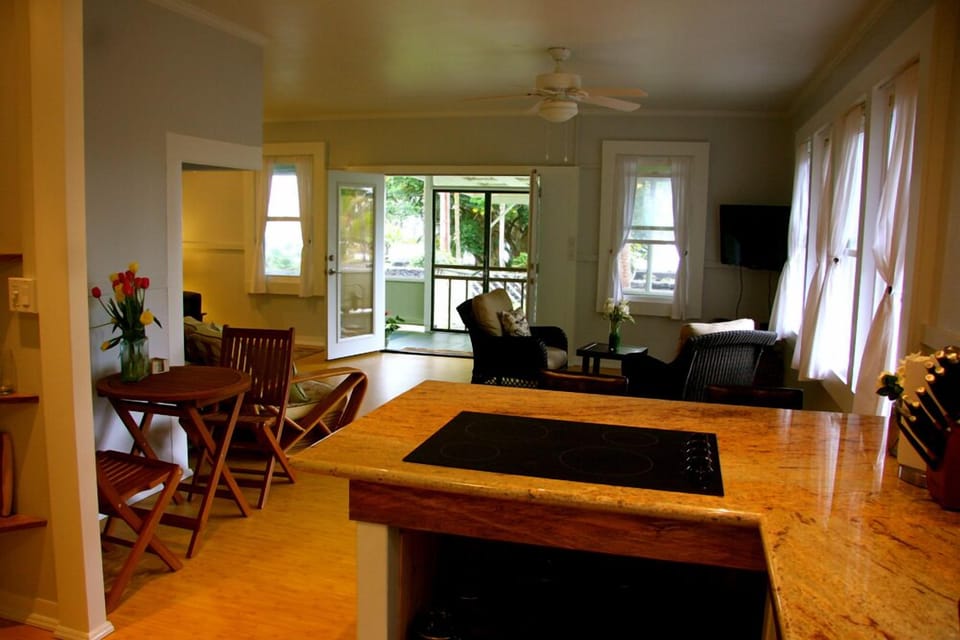 View from upstairs kitchen of living room, dining area HDTV with Netflix & cable