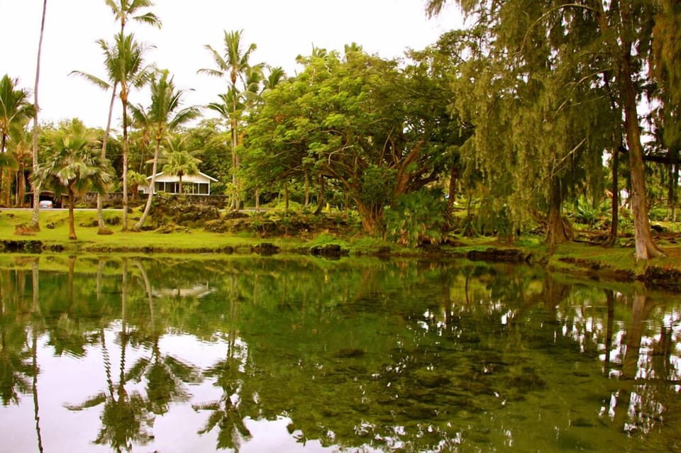 View of cottage from the ocean