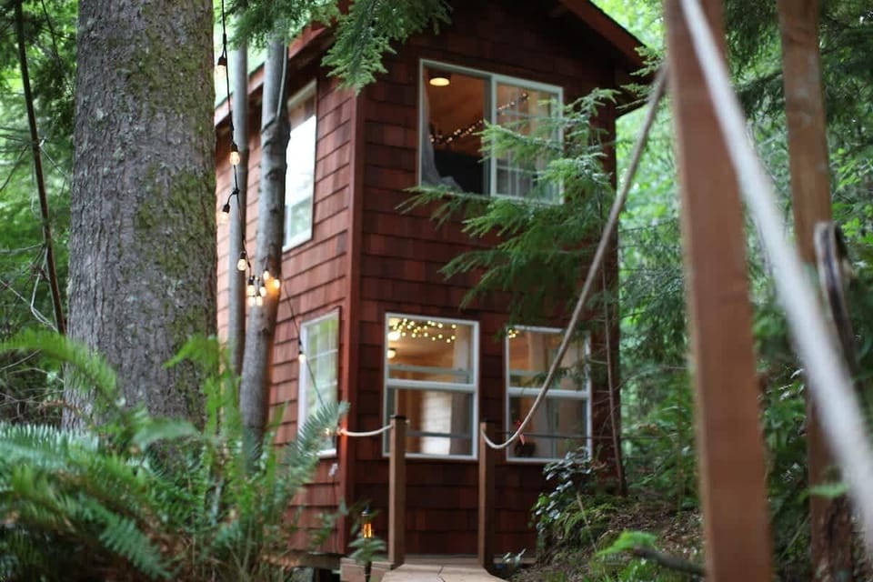 Approaching the Treehouse from the trail!