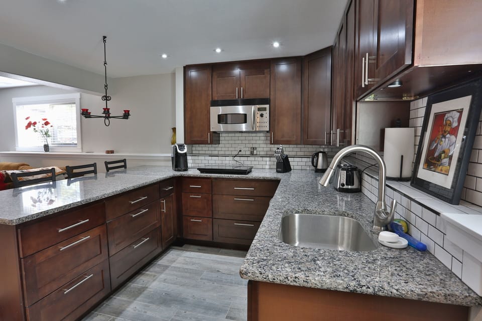 Granite, stainless, dishwasher etc