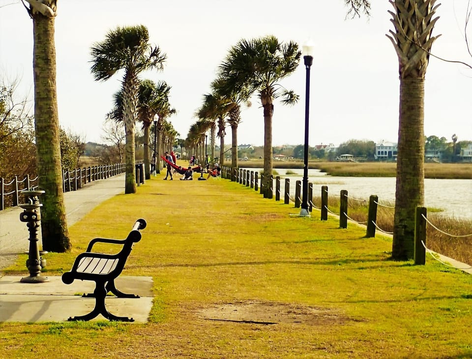 Pitt street bridge 