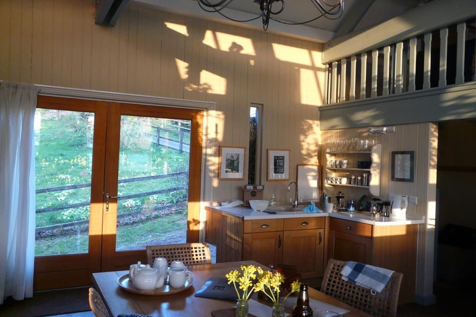 evening light