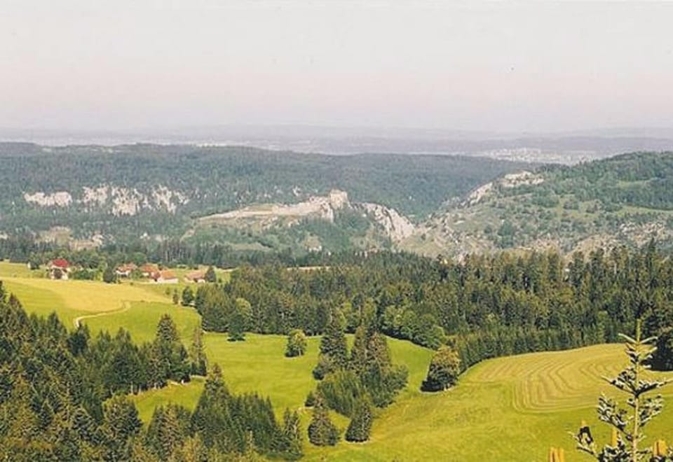 Areal view