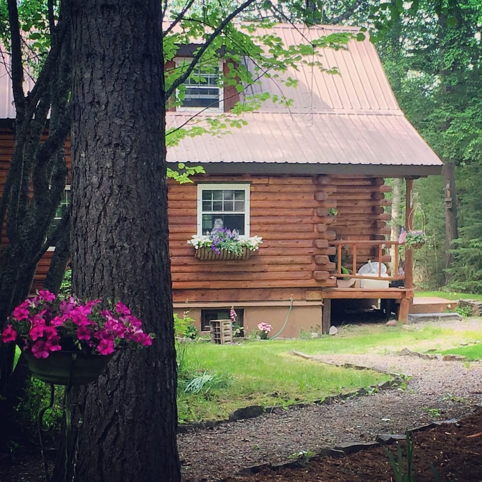 Swan Cottage in the summer