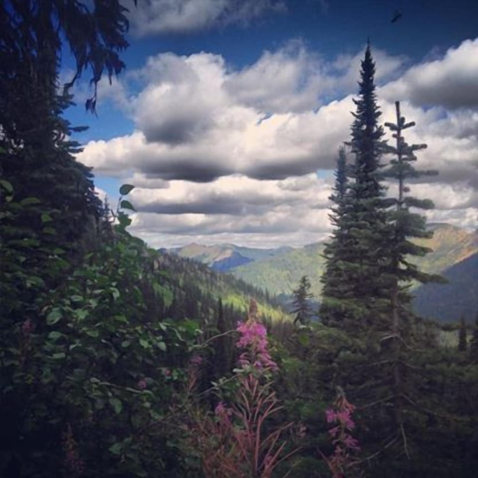 A hikers paradise.