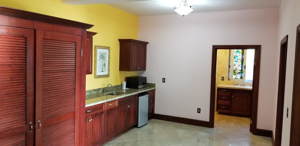 Lower level kitchenette and entrance to bathroom