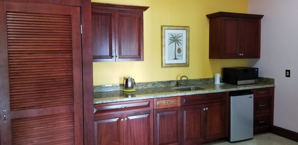 Lower level kitchenette