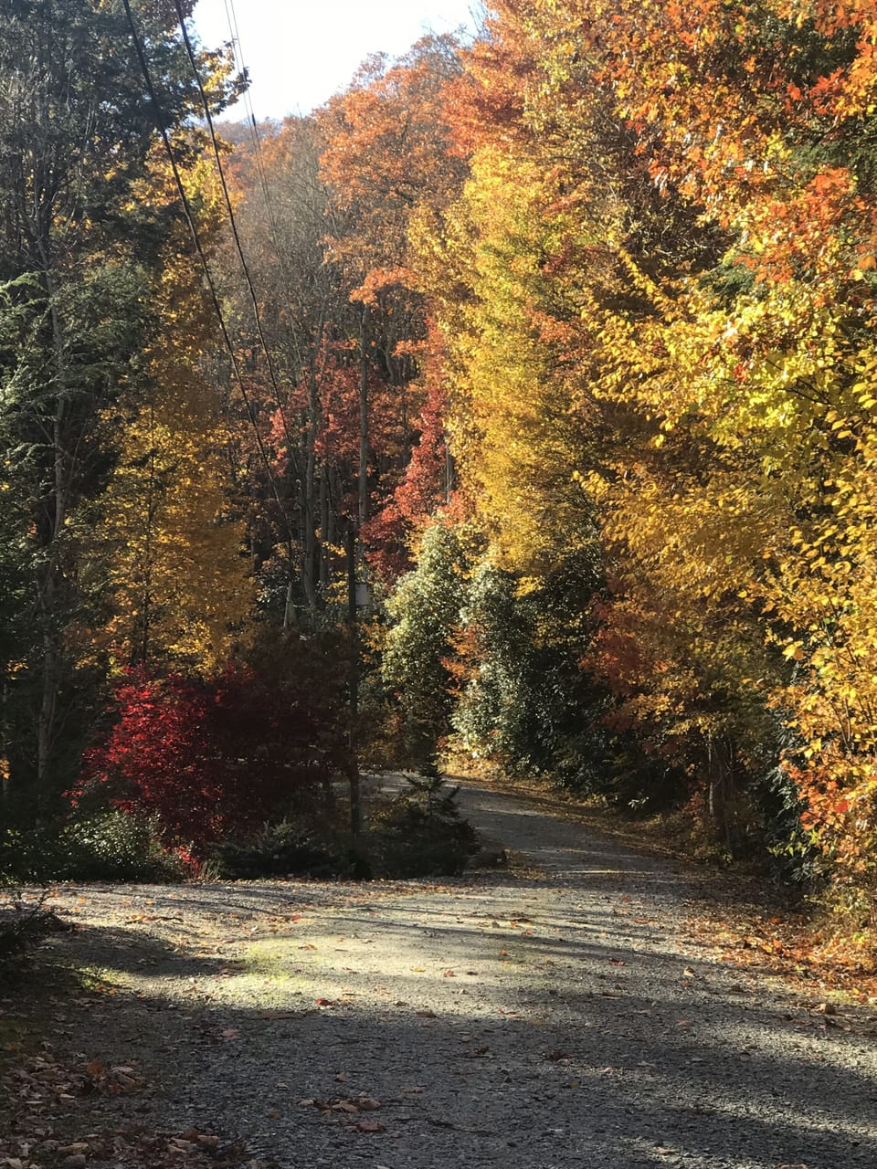 Amazing colors of nature surrounding the road around the community