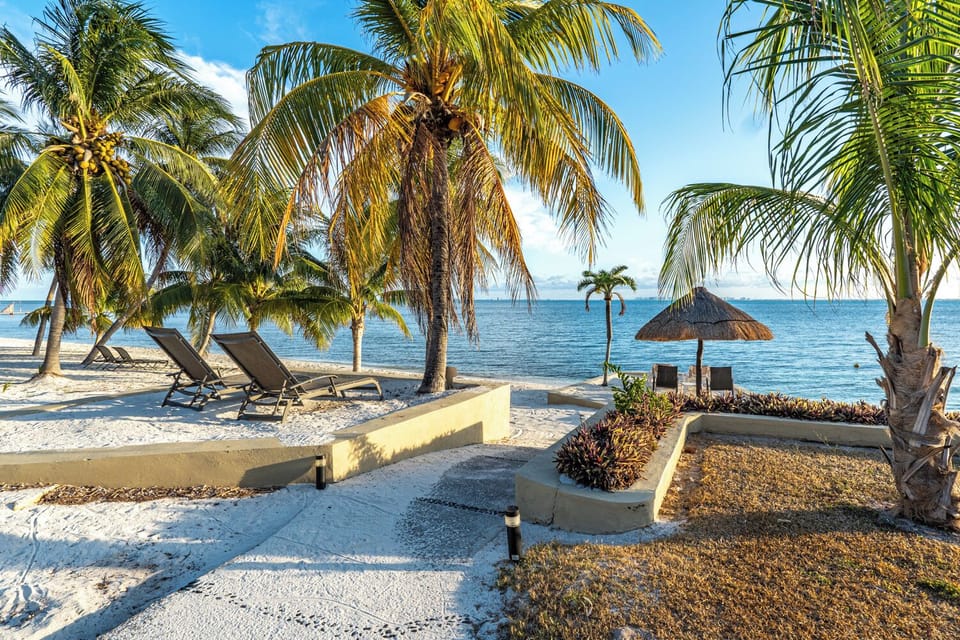 Property grounds - Private sargazo FREE Beach