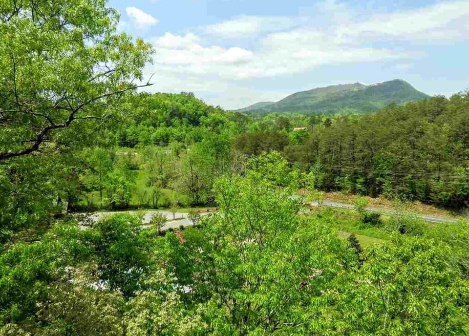 Mountain view from back porch