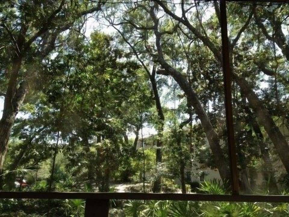 Love that porch view!