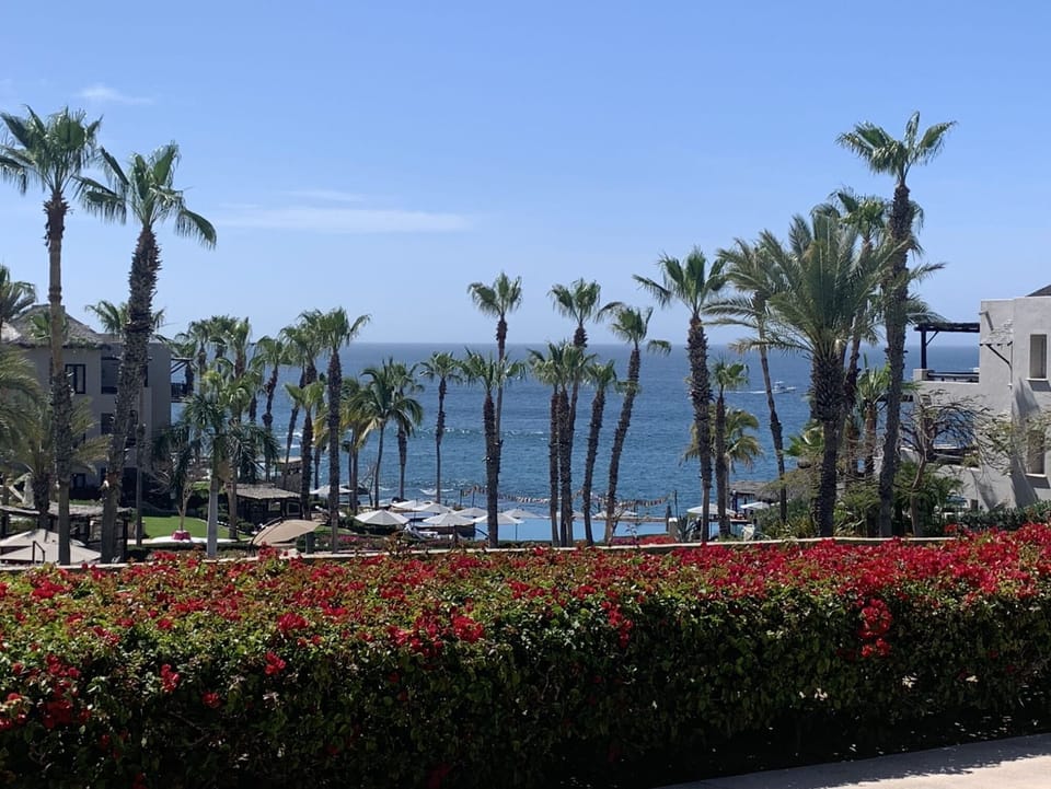 Ocean View from 1701 with La Palapa adult pool & restaurant