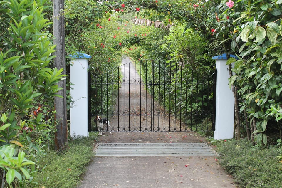 Private and Gated --- View of front gate.