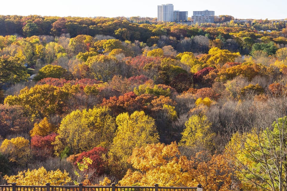 Early Fall view from decks