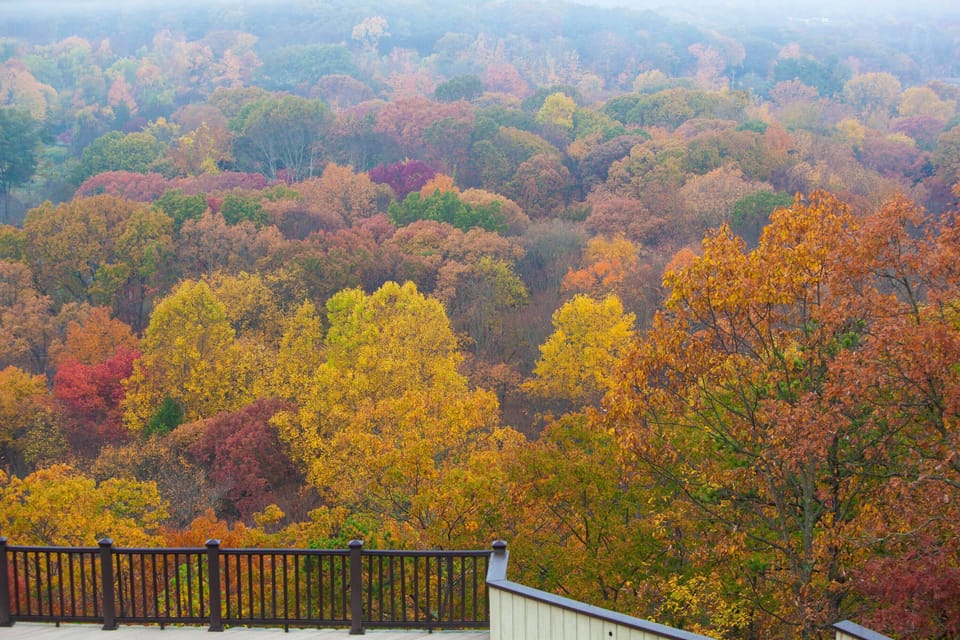 Early Fall view from decks