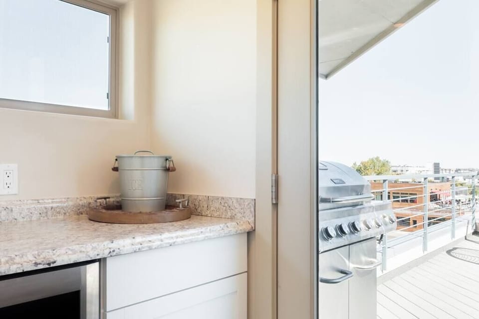 Deck Fridge and Wet Bar