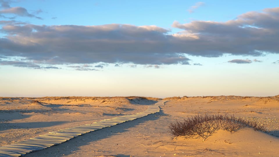East Beach Boardwalk