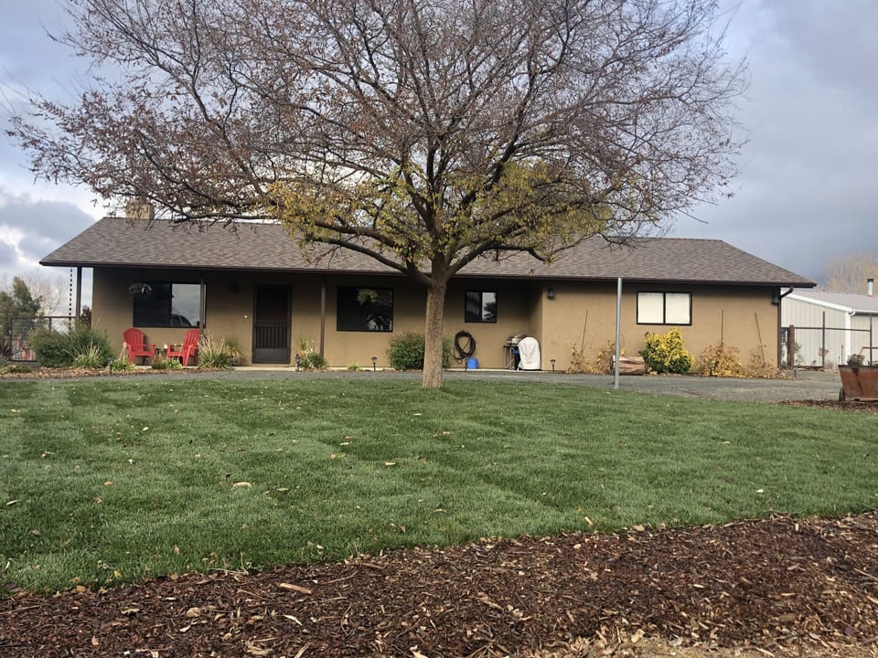 Front yard 