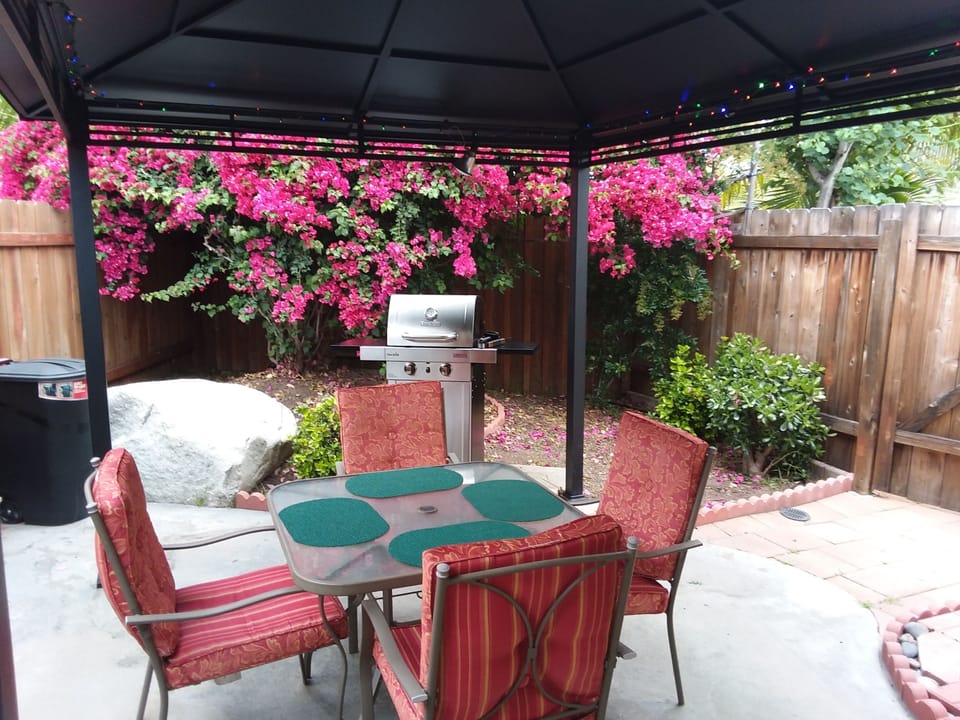 Side patio with BBQ grill