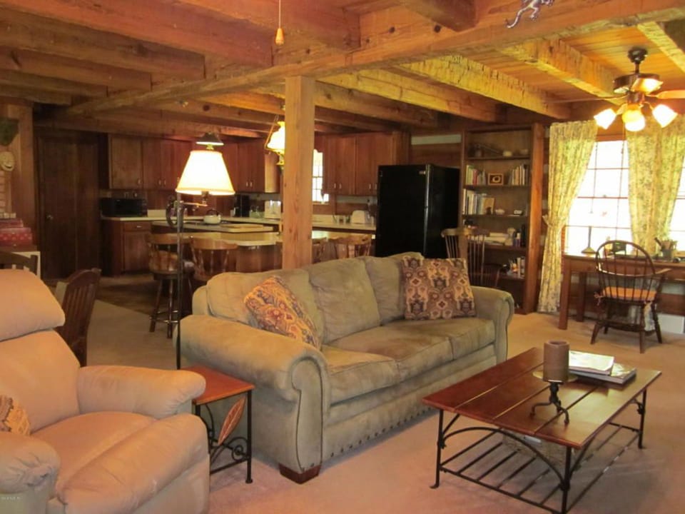 Living room (kitchen in background).  couch folds out to double bed,