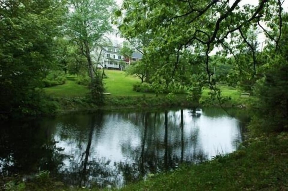 The park-like estate of 15 acres, with freshwater pond filled with frogs