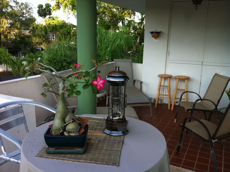 The cool terrace to enjoy the NE breeze!