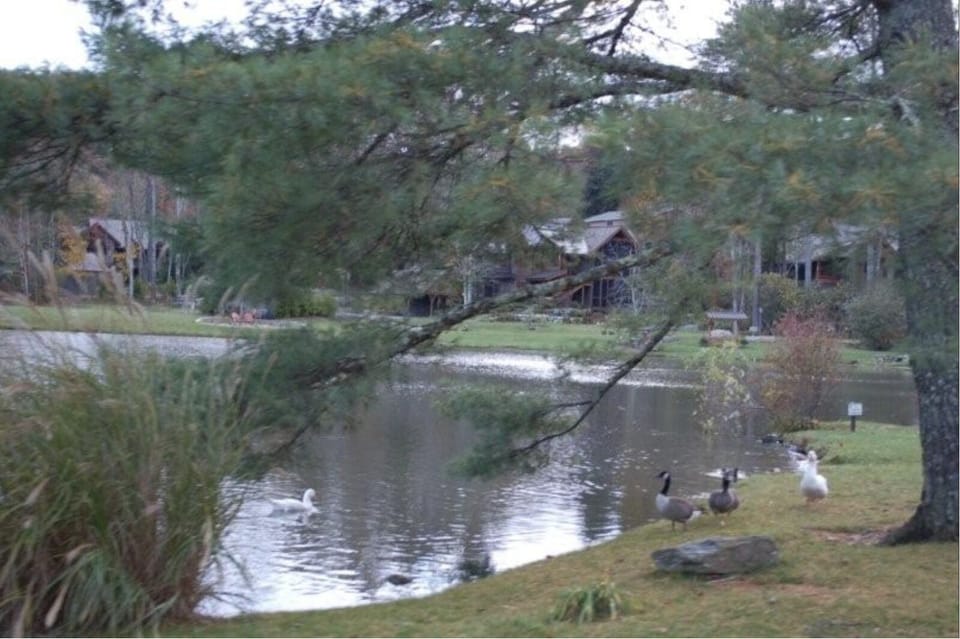 Harris Lake.  One house down. 