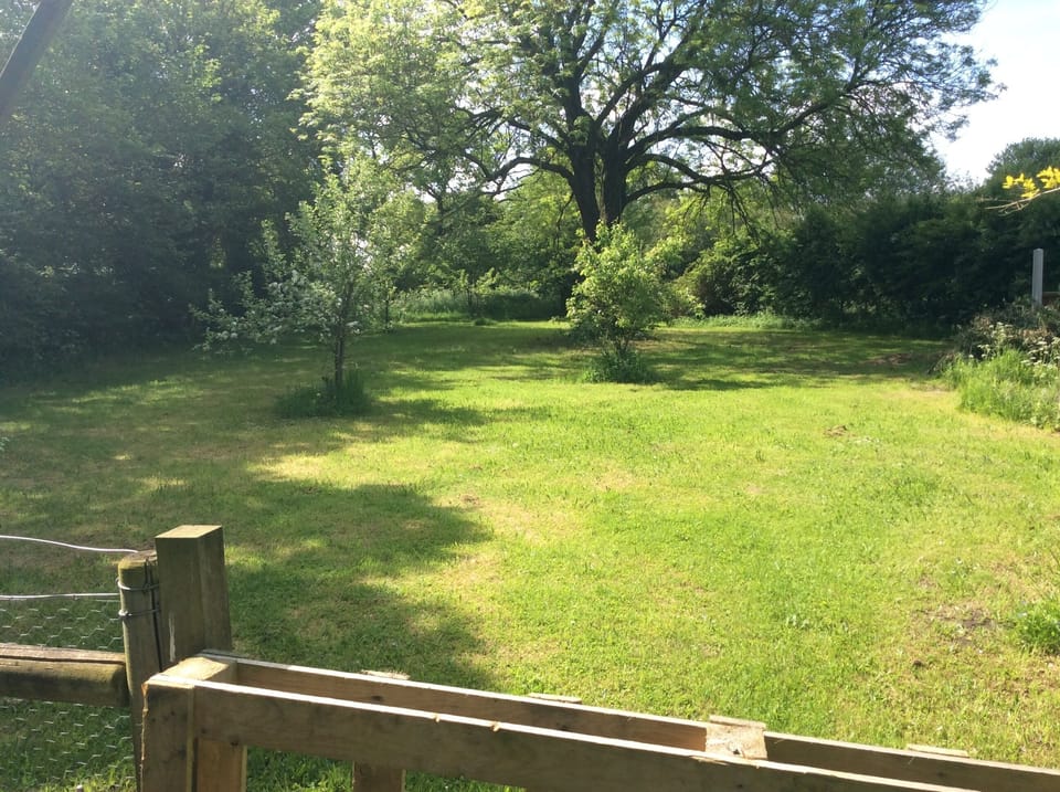 The footpath t