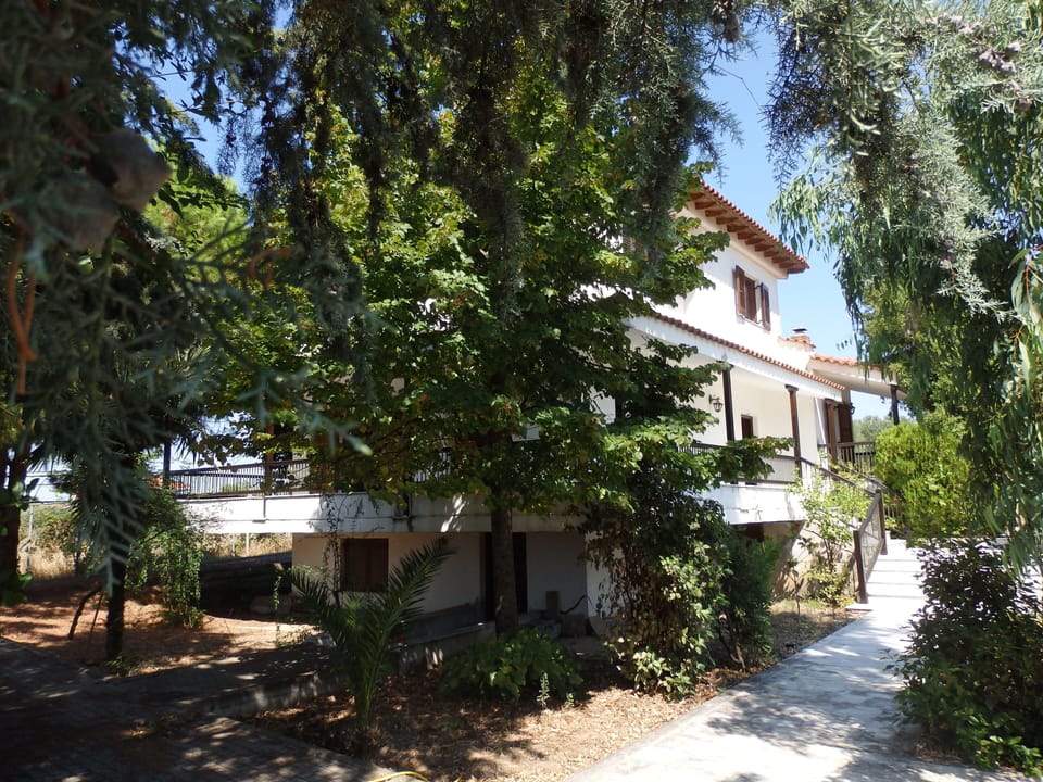House and trees