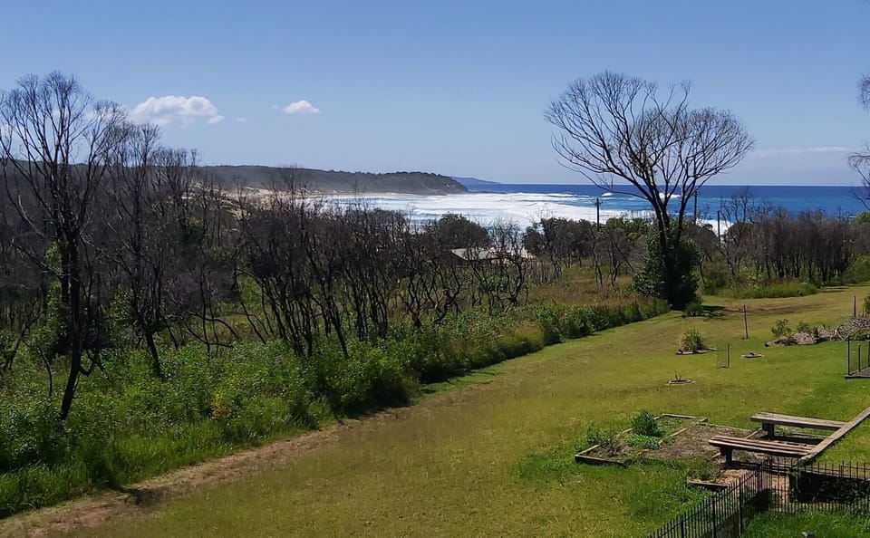 View from the deck