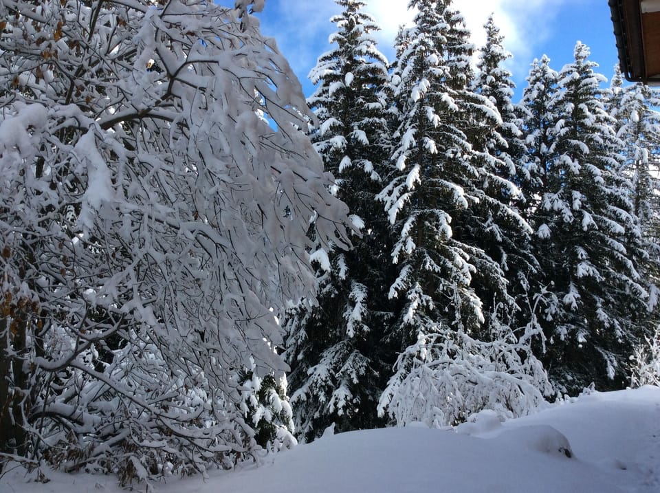 view from main window