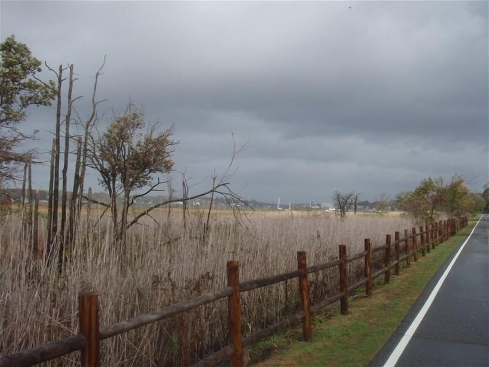 Warren from east bay bike path, near the Audubon walkway at Jacobs Point 