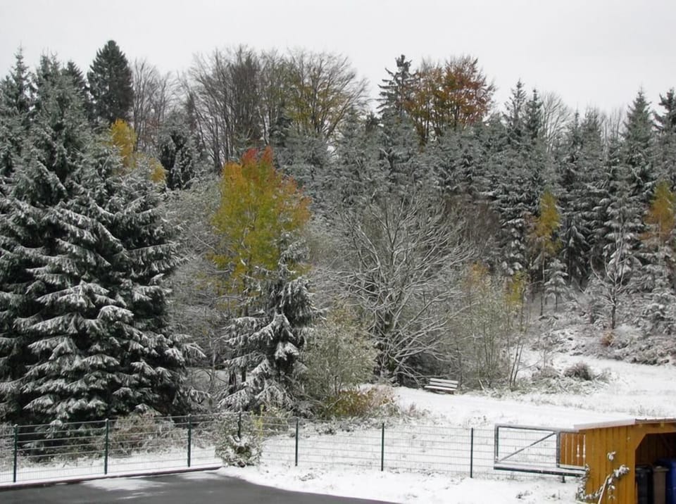 Snow and ski sports