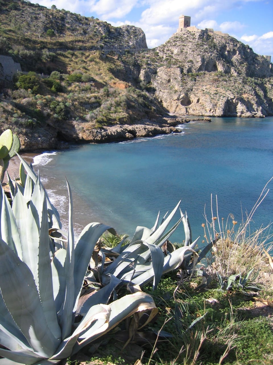 Torre Normanna and Agave