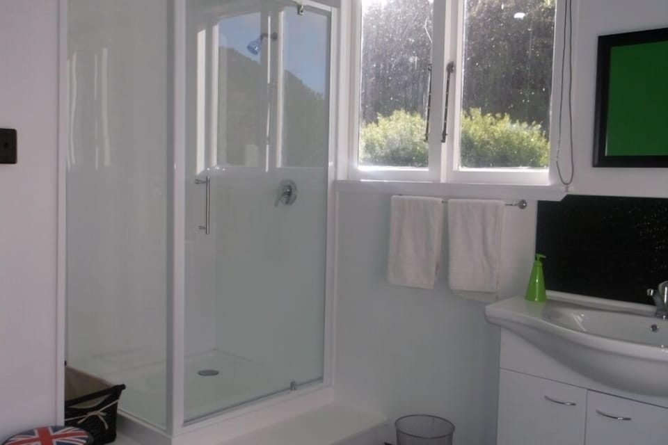 Shower, Toilet and Washing Machine