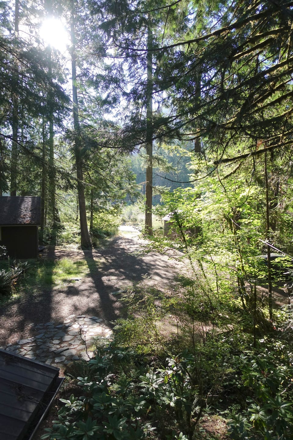 View of Sandy river from bunk room