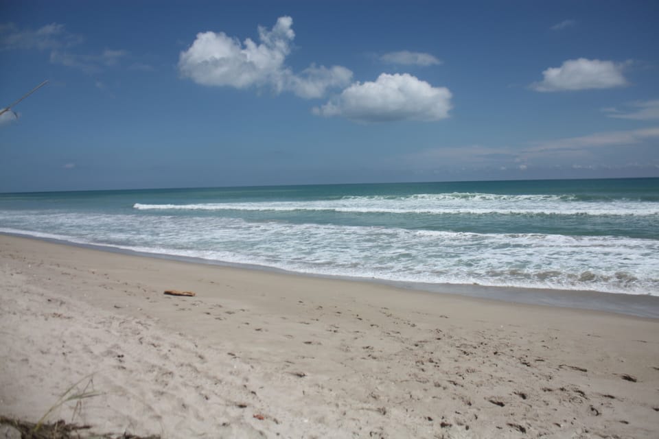 Atlantic Ocean Beach 100 ft.