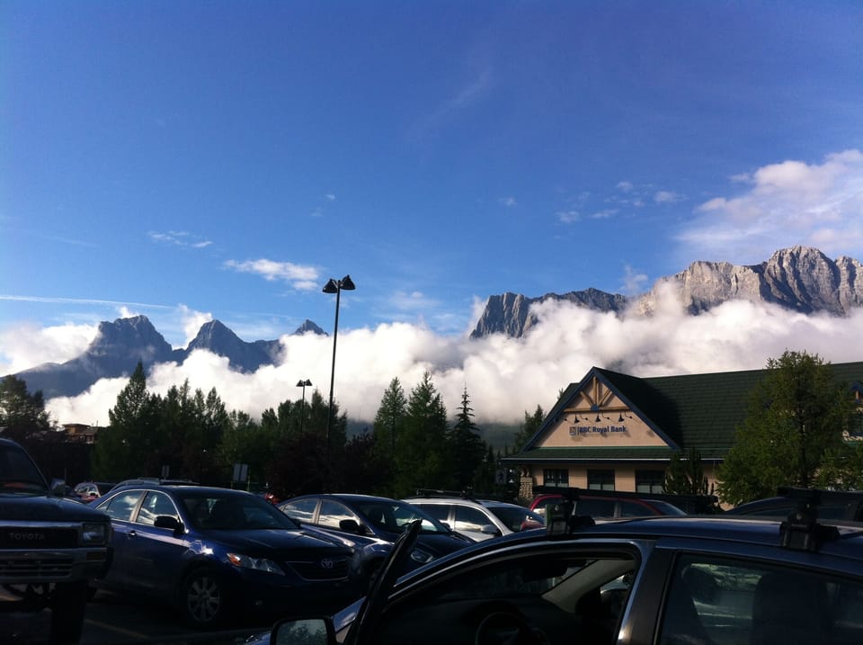 coming out of supermarket,  splendour.