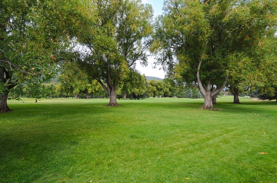 golf course out back