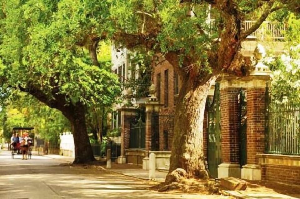 Lagare Street- Charleston SC