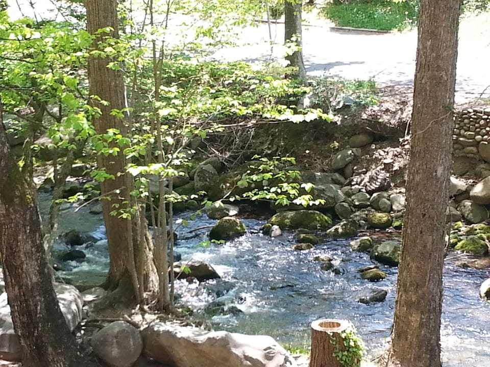 Creek below
