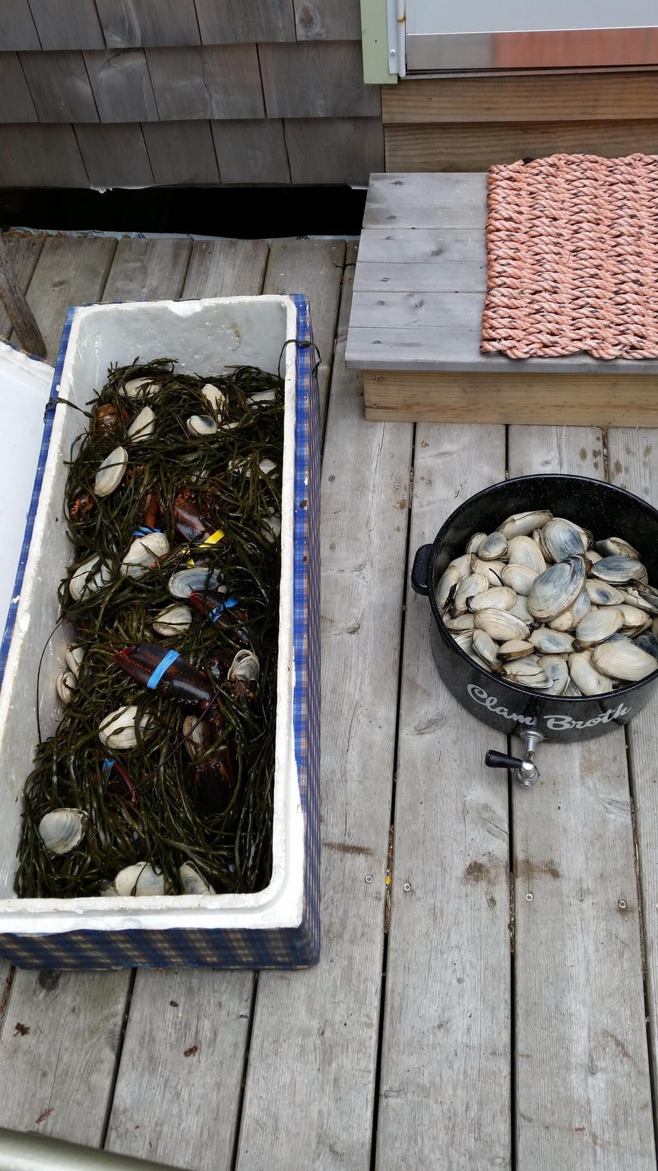 clams!!!