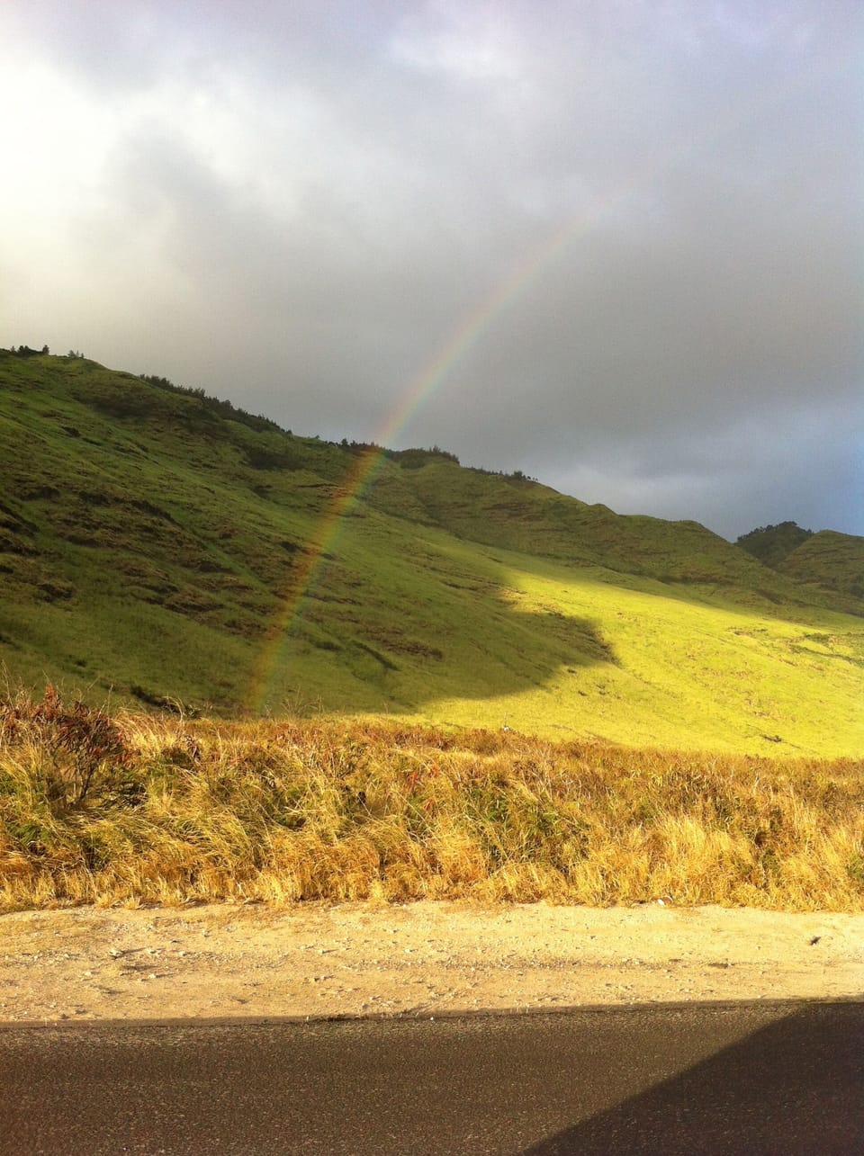 Rainbows, rainbows and more rainbows!