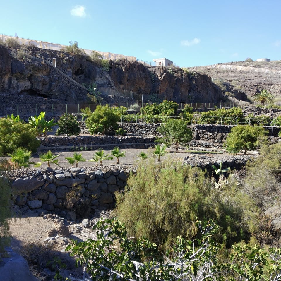 views of the Finca.