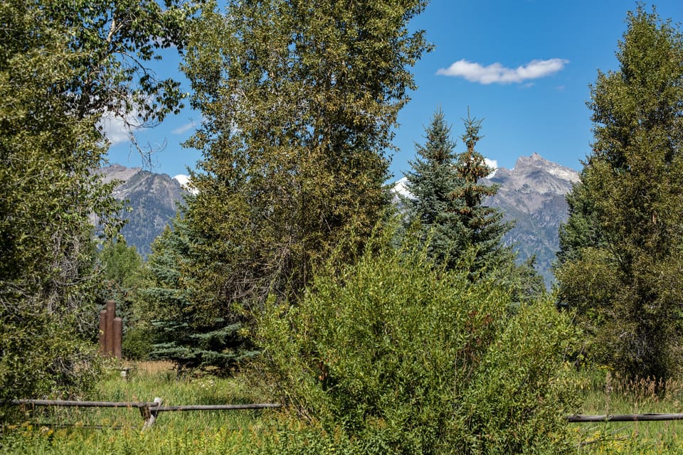 Summer views from patio

